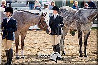 4H-District-17-1212.jpg