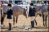 4H-District-17-1217.jpg