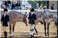 4H-District-17-1219.jpg