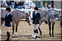 4H-District-17-1220.jpg