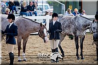 4H-District-17-1221.jpg