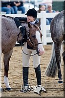 4H-District-17-1222.jpg
