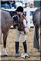 4H-District-17-1223.jpg