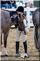 4H-District-17-1224.jpg