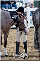 4H-District-17-1225.jpg
