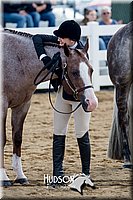 4H-District-17-1226.jpg