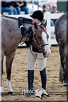4H-District-17-1228.jpg