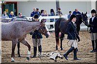 4H-District-17-1230.jpg