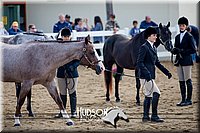 4H-District-17-1231.jpg