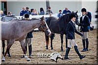 4H-District-17-1232.jpg