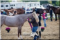 4H-District-17-1237.jpg