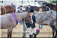 4H-District-17-1240.jpg