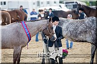 4H-District-17-1241.jpg