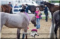 4H-District-17-1243.jpg