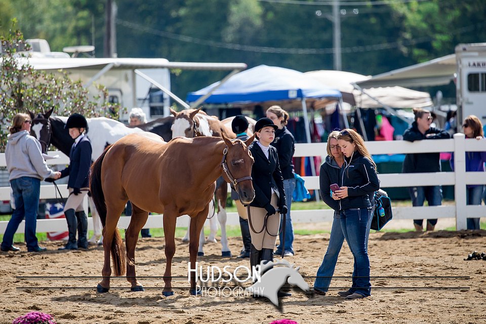 4H-District-17-1255.jpg