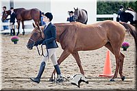 4H-District-17-1244.jpg