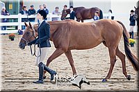 4H-District-17-1245.jpg