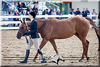 4H-District-17-1246.jpg