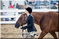 4H-District-17-1248.jpg