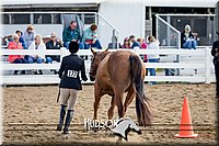 4H-District-17-1249.jpg