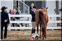 4H-District-17-1252.jpg