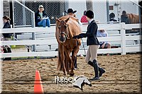 4H-District-17-1253.jpg