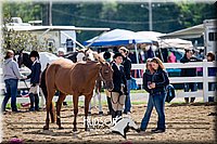 4H-District-17-1255.jpg