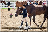 4H-District-17-1257.jpg