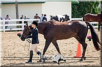 4H-District-17-1258.jpg