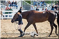 4H-District-17-1260.jpg