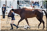 4H-District-17-1261.jpg