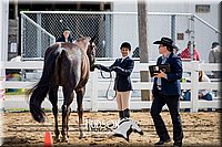 4H-District-17-1265.jpg