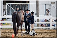 4H-District-17-1267.jpg