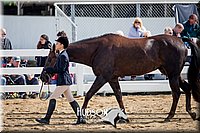 4H-District-17-1269.jpg