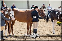 4H-District-17-1274.jpg