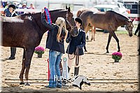 4H-District-17-1286.jpg