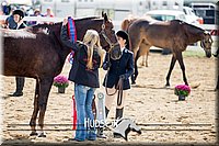 4H-District-17-1287.jpg