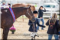 4H-District-17-1288.jpg