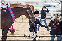 4H-District-17-1289.jpg