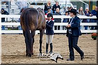 4H-District-17-1292.jpg