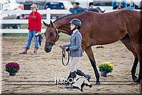 4H-District-17-1298.jpg