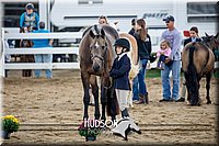 4H-District-17-1301.jpg