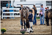 4H-District-17-1302.jpg