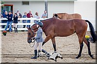 4H-District-17-1303.jpg