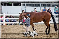 4H-District-17-1306.jpg