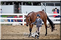 4H-District-17-1307.jpg