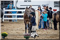 4H-District-17-1309.jpg