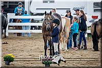 4H-District-17-1310.jpg