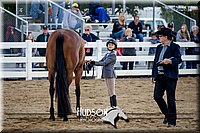 4H-District-17-1311.jpg