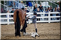 4H-District-17-1312.jpg